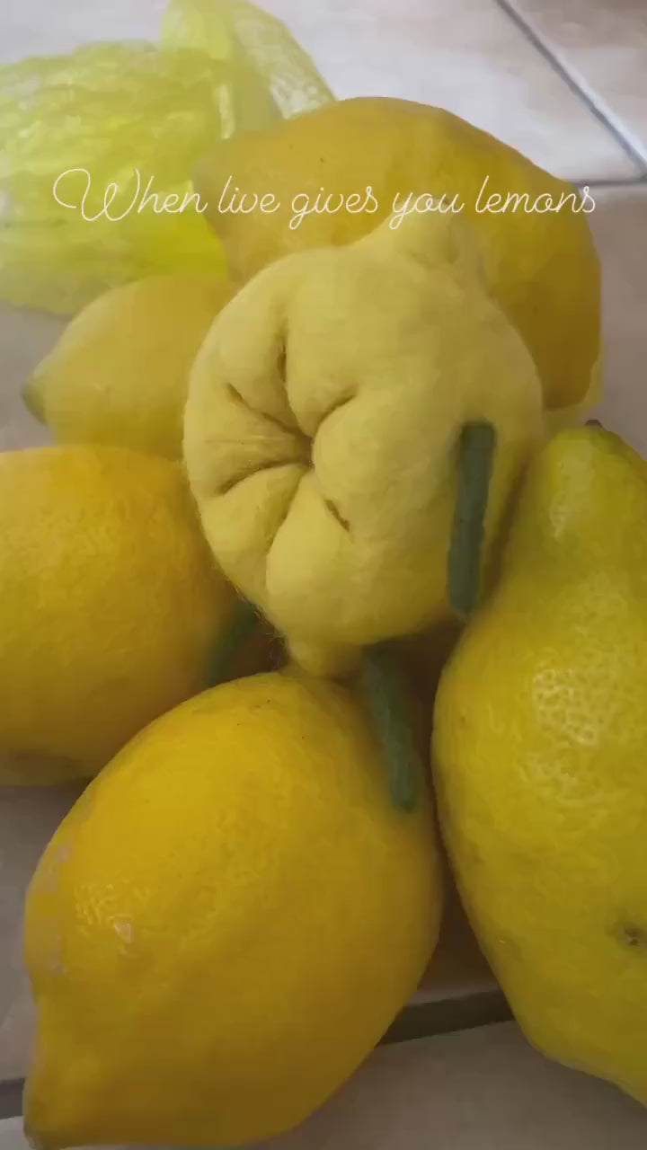 Needle felt Lemon